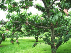 2010-06-25-001.jpg